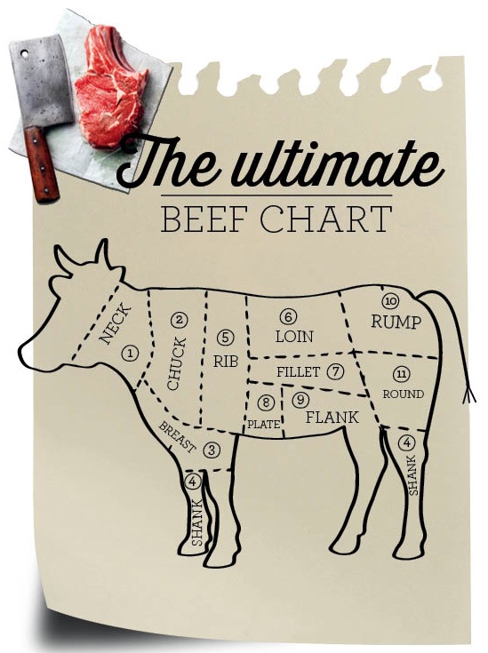 Beef Muscle Chart