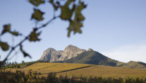 The Stellenbosch Wine Route snags award at the International Wine Tourism Challenge 2017