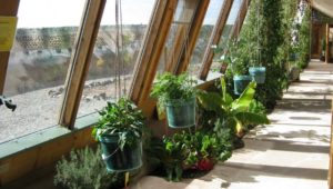 10 tips for a more sustainable home
