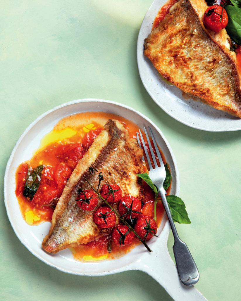 Grilled fish on olive-oil tomato sauce